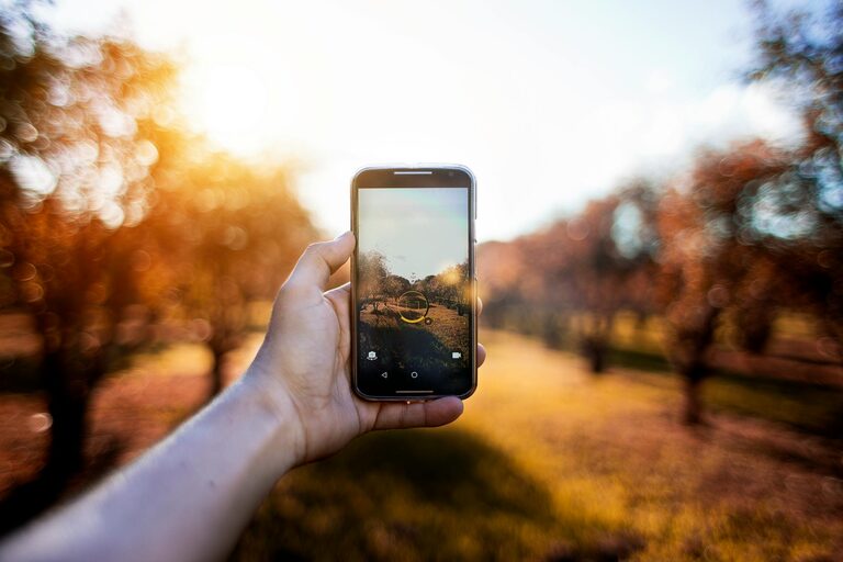 Beginner Tips for Taking Better Phone Photos